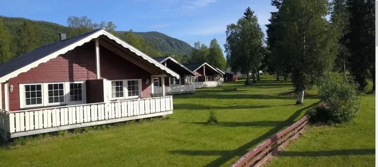 Some of the big and nice cabins at Bjerka Camping seen on a summer day surrounded by green and lively nature.