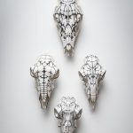 Head sculls from animals decorated and turned into pieces of art.