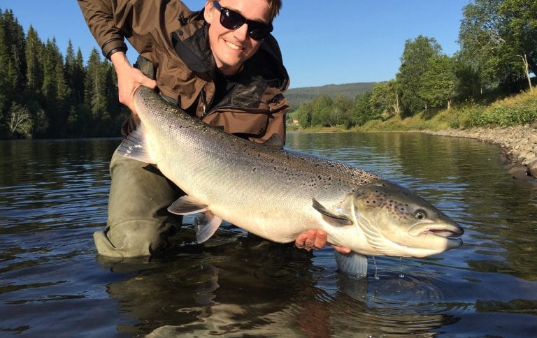 Happy fisherman standing in the river, Røssåga, with the water to his knees, holding a huge salmon he has caught.