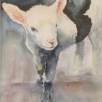 Aquarelle painting of a cute black and white lamb.