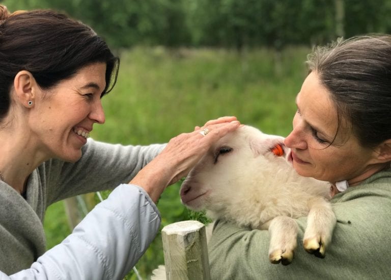 Two smiling women holding and cuddling with a young white lamb.