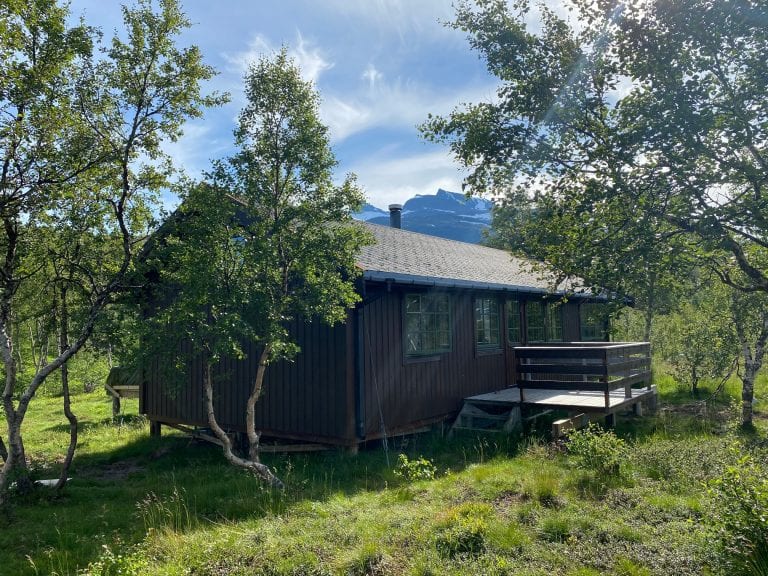 A brown cabin surrounded by birch trees and mount Oksskolten in the background
