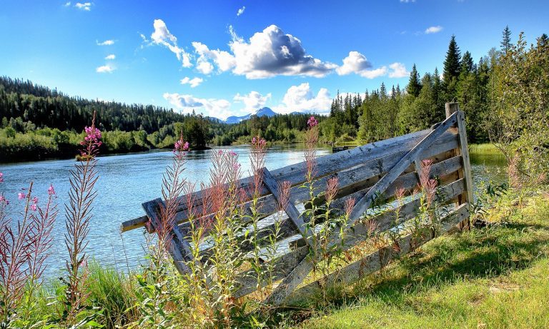 A wooden fence standing next to the lake, Stormyrbassenget, with pink flowers and a green environment surrounding it.