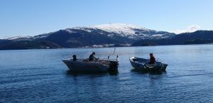 Two white boats on the fjord with people spending a nice summer day in great surroundings.