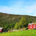 Mastervika Farm and its two red farmhouses in beautiful green nature surroundings.