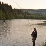 One of several fishermen standing in the river fishing salmon in the river Røssåga with a fish on the hook.