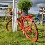 A red and blue bike standing on the green lawn up at Korgfjellet during Artic Race.