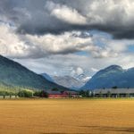 The big farm Bjerkmoen with the big yellow acre in front and the mighty Okstindan mountains in the horizon.