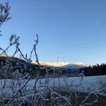 Frost on thin branches during winter with acres and mountains lit up by the sun in the horizon.