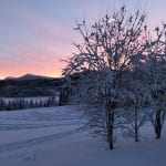 Winter landscape with an orange-pink night sky.