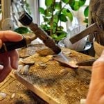 Goldsmith, Merete Mattson, in the act of making a product including a shell, at her workshop.