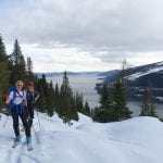Two skiers climbing a snowy mountain surrounded by bare spruces with a view over the fjord and other mountains.