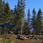 Several tents hanging between trees above the ground surrounded by green nature on a beautiful sunny day.