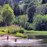 Kids playing in the water on a summer day