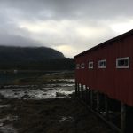 Where boats were built (2).