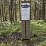 An information sign standing in the forest.